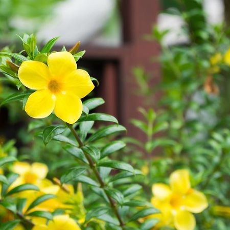 Weekender Bungalow ラマイビーチ エクステリア 写真