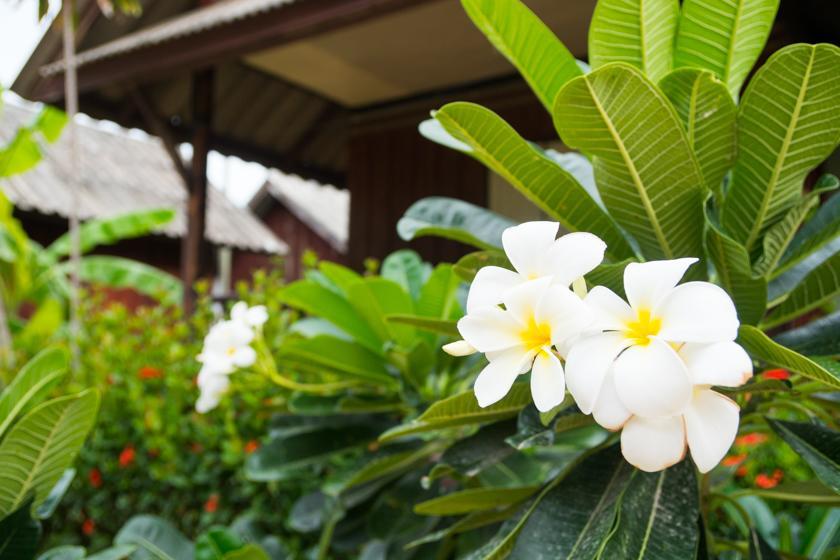 Weekender Bungalow ラマイビーチ エクステリア 写真