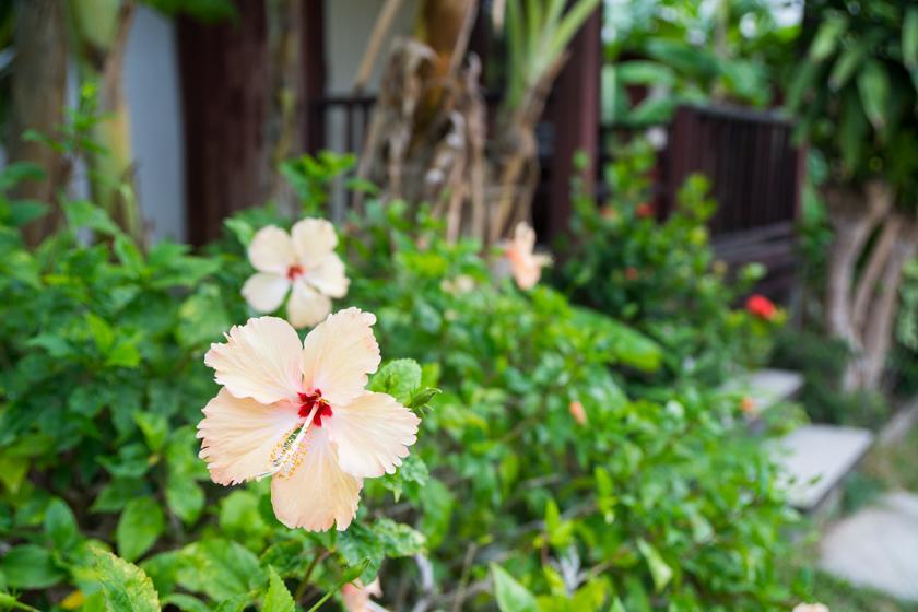 Weekender Bungalow ラマイビーチ エクステリア 写真